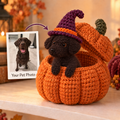 My Little Pumpkin – Personalized Crochet Pet Shelf Sitter  | Halloween Edition