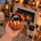 My Little Pumpkin – Personalized Crochet Pet Shelf Sitter  | Halloween Edition