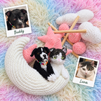 Pet Moon | Pink  |  Personalized Crochet Pet Baby Mobile