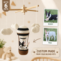 Pet Balloon | Personalized Crochet Pet Baby Mobile