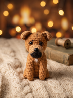 Personalized Crochet Doll for Pet with Photo Card “In Loving Memory”