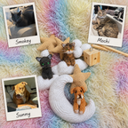 Pet Moon | Brown | Personalized Crochet Pet Baby Mobile